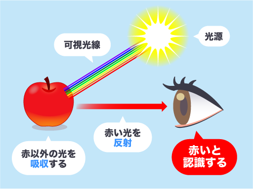 色の見え方