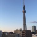 本所事務所での作業