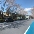 遮熱性舗装現場経過観察に行ってきました